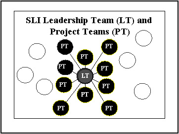 SLI Leadership Team and Project Teams Relationship