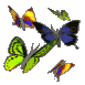 graphic of butterflies